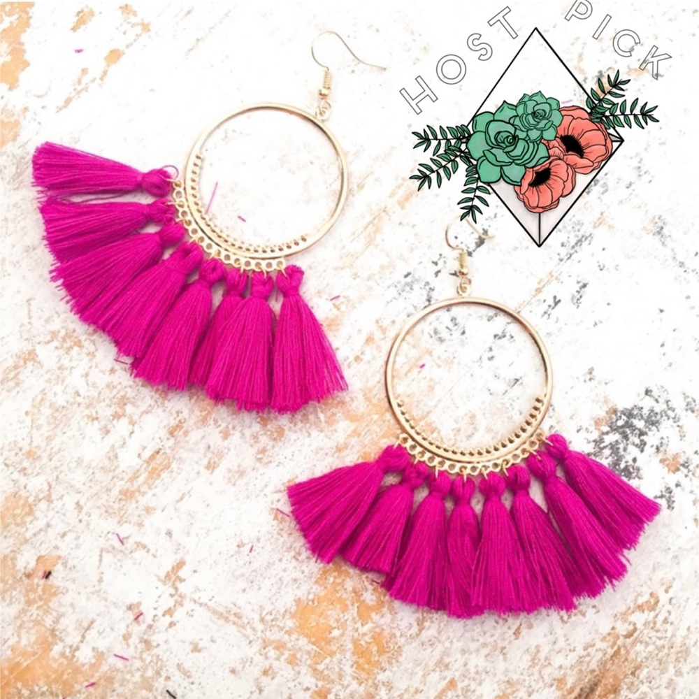 ✨HP!✨ Boho Fuchsia Tassel Hoop Earrings